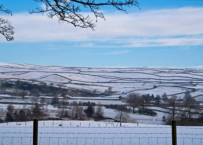 Farfield
