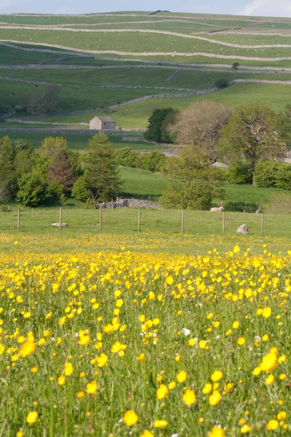 Farfield * Threshfield